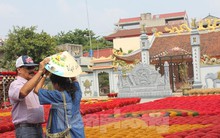 Du khách 3 nước vừa được miễn thị thực nhập cảnh Việt Nam