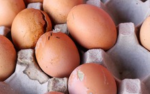 Mua trứng gà thấy 4 dấu hiệu này thì quay lưng mà đi, đặc biệt điều cuối cùng là "cạm bẫy"