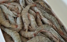 Sau 30 năm cuộc đời, tôi được "khai sáng" cách giã đông tôm mà KHÔNG cần ngâm nước lã