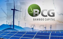 Bà Huỳnh Thị Kim Tuyến bị khởi tố, một lãnh đạo cấp cao trong hệ sinh thái Bamboo Capital liên tục thoái vốn