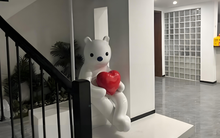 Chi 10 triệu đồng mua tượng gấu trên mạng về trang trí, 2 năm sau ông chủ homestay bất ngờ bị kiện: Phải bồi thường 134 triệu đồng