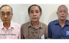 Phong tỏa hàng loạt bất động sản của các cựu lãnh đạo Vinafood II