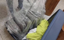 Mở chiếc vali bị bỏ lại trong nhà vệ sinh sân bay khoá trái cửa, cảnh sát lập tức truy tìm chủ nhân