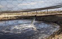 Phát hiện kho báu quý hơn vàng trị giá 1,2 tỷ đồng ẩn trong giếng nước thải