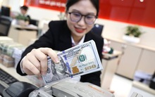 Giá USD lao dốc, dự báo mới nhất về tỉ giá tại Việt Nam