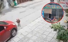 Vụ bé 15 tháng tuổi bị ô tô phụ huynh cán tử vong: Cô giáo bận làm gì lúc xảy ra sự việc?
