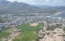 12.000 tỉ đồng giải phóng mặt bằng dự án điện hạt nhân