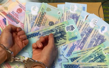 Trách nhiệm của phó chi cục THADS và kiểm sát viên trong nữ chấp hành viên chiếm đoạt 12,5 tỷ đồng