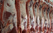 Giá lợn hơi Việt Nam đứng top thế giới: Đắt hơn Trung Quốc, gấp 2 lần so với Nga nhưng vẫn thua xa một quốc gia châu Á