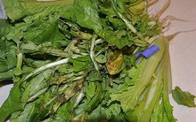 Chớ dại mua rau cải khi thấy 4 dấu hiệu này, tôi cảnh báo để bạn khỏi hối hận