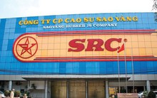 Vì sao Cao su Sao Vàng tăng 21% lợi nhuận sau kiểm toán?