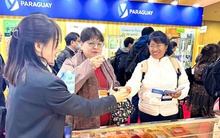 AIG nỗ lực nâng tầm nguyên liệu thực phẩm Việt Nam trên toàn cầu