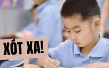 Đọc kết quả kiểm tra đột xuất việc dạy thêm tại TP.HCM mà tim tôi thắt lại: Chúng ta đang làm gì con cái thế này?