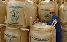 Cổ phiếu Phân lân Văn Điển vào diện kiểm soát từ ngày 20/3/2025