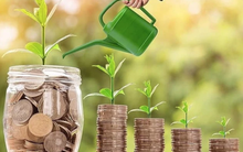 Lịch chốt quyền cổ tức tuần 17-21/3: Cổ tức tiền mặt cao nhất 50%