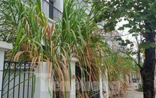 Khung cảnh hoang lạnh của hàng trăm biệt thự trên ‘đất vàng’ ở TP Hoà Bình