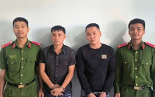 Bắt Tống Văn Quân, Đào Tân Long