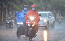 Tin gió mùa đông bắc mới nhất: Từ ngày mai, nhiều nơi mưa lớn, có khu vực rét đậm