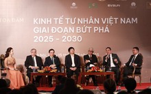 Việt Nam bước vào kỷ nguyên vươn mình: Nhóm kinh tế tư nhân cần làm gì để ‘bứt tốc’?