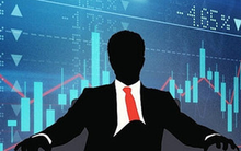 BCG Land có Tổng Giám đốc mới