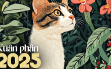 3 điều nên làm vào tiết Xuân phân để thu hút may mắn, tài lộc dồi dào