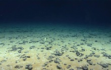 Phát hiện ‘kho báu’ lớn chưa từng thấy trải dài ngoài đại dương, tiềm năng cung cấp 45.000 tấn nhiên liệu 1 năm: Châu Âu nắm trong tầm tay năng lượng sạch, liên tục tái tạo