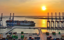 “Siêu cảng" 520 triệu USD của Việt Nam đón chuyến tàu đầu tiên từ liên minh hàng hải top đầu thế giới