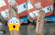Thái Lan: Thực khách hết hồn khi thấy con rắn đông cứng trong que kem, nghe dân mạng bình luận 1 chuyện càng thêm hoang mang