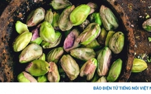 Việt Nam có loại hạt "vạn người mê", giúp giảm mỡ máu lại ngừa cả đột quỵ