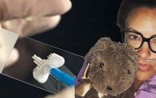 Đang sống năng động, người phụ nữ 45 tuổi bất ngờ nhận chẩn đoán ung thư buồng trứng, hóa ra 2 dấu hiệu "âm thầm" đã xuất hiện từ trước