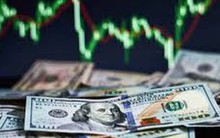 Tỷ giá hôm nay 19/3: USD ngân hàng, USD tự do tăng trở lại