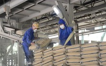 Báo cáo Thủ tướng việc dư thừa hàng triệu tấn xi măng