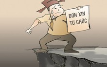 Tracodi sau biến cố Phó Chủ tịch bị khởi tố: Loạt lãnh đạo từ chức, xin dời ngày tổ chức ĐHĐCĐ để sắp xếp lại nhân sự