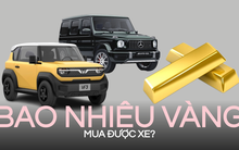 Vàng lên giá 100 triệu đồng/ lượng, chỉ 3 cây là mua được VinFast VF 3, còn mua G63 cần bao nhiêu?