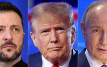 Ukraine không còn lựa chọn nào khác ngoài chơi ván cờ của ông Trump?