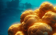 Sâu hơn 3000m dưới biển, có "kho báu thực sự" cho loài người: Chỉ một đại dương đã chứa 1.700 tỷ tấn