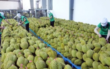 Việt Nam thuộc TOP 30 nước tăng trưởng thương mại cao nhất