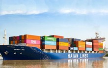 Chuyển đổi hơn 200 tỷ trái phiếu thành cổ phiếu của công ty sở hữu đội tàu container lớn nhất Việt Nam, nhóm SSIAM lãi gấp đôi sau 1 năm