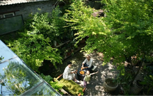 Bỏ chức giám đốc, người đàn ông chi 3,5 tỷ đồng thuê 10.000m2 đất hoang tạo không gian sống trong mơ, nghỉ hưu sớm từ năm 40 tuổi