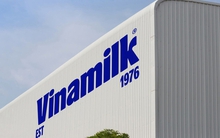 Ứng tuyển Vinamilk khó ngang đại học danh tiếng: Tỷ lệ chọi 1/342 cho một vị trí