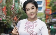 Nghệ sĩ Hồng Nhung tố cáo ca sĩ Nguyên Vũ và nhiều người khác