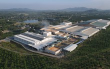 Lĩnh vực 1.300 tỷ USD: Việt Nam có một nhà máy lớn thứ hai thế giới