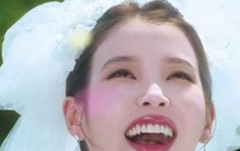 Sao lại đặt tên phim là ‘Khi cuộc đời cho bạn quả quýt’?