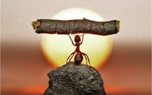 10 năm “đánh chứng” gồng lỗ: Trả giá vì sai lầm ai cũng mắc