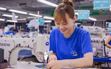 Phó Chủ tịch HĐQT TNG xin từ nhiệm