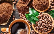 Giá cà phê hôm nay 23/3: Cà phê trong nước tăng nhẹ