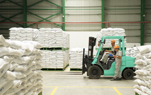 BAF chi 550 tỷ đồng xây nhà máy cám thứ 3 tại Bình Định, "chạy đua" kế hoạch quy mô 10 triệu heo thương phẩm đến 2030