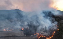 Cháy rừng khiến nhiều người thiệt mạng, Hàn Quốc ban bố tình trạng thảm họa quốc gia