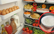 Đặt một bát muối vào tủ lạnh, tôi tiếc ròng vì 30 năm mới biết mẹo hay