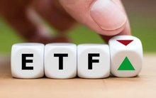 Quỹ Fubon ETF quy mô hơn 14.000 tỷ hoàn tất cơ cấu: DIG chính thức rời rổ, nhường chỗ cho một "đại gia" bất động sản